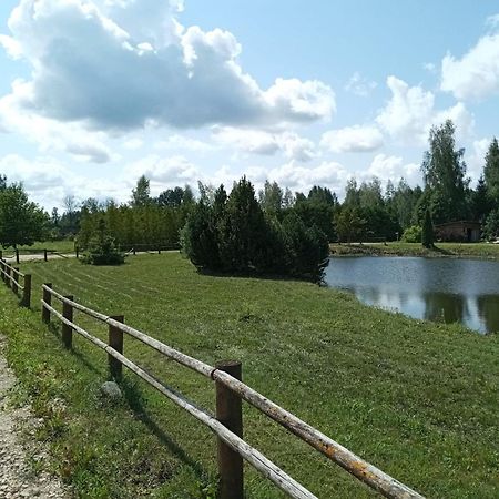 Villa Viesu Nams Krauklisi Tinuzi Exterior foto